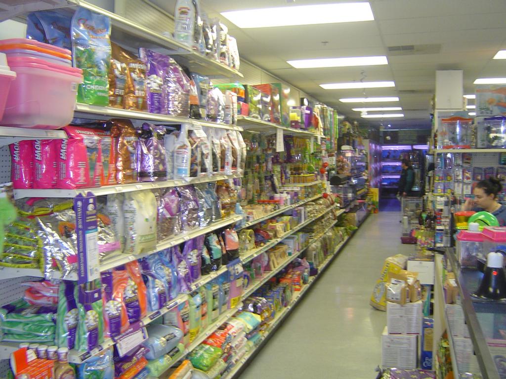 shop pet shop shop pet shop